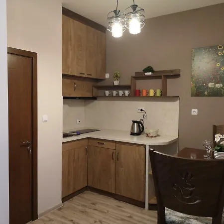 Luxury Studio Raya